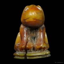 เขี้ยวเสือแกะหลวงพ่อปาน วัดบางเหี้ย สมุทรปราการ 