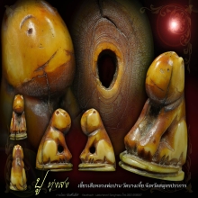 เขี้ยวเสือแกะหลวงพ่อปาน วัดบางเหี้ย สมุทรปราการ 