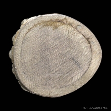 พระกริ่งพ่อท่านมุ้ย เนื้อเงิน ปี 2533