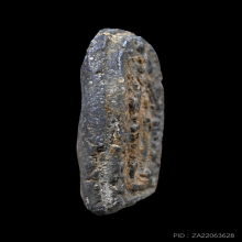 พระสมเด็จปิลันทน์ วัดระฆังโฆสิตาราม พิมพ์ซุ้มประตู