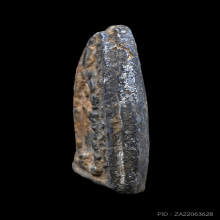 พระสมเด็จปิลันทน์ วัดระฆังโฆสิตาราม พิมพ์ซุ้มประตู