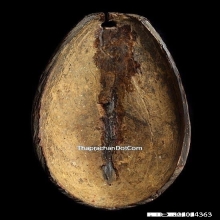 ปิดตาราหูกะลาโบราณล้านนา