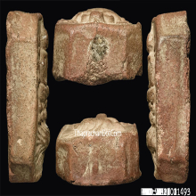 หลวงพ่อปาน เม่นสังกัจจายน์บัว7 ผิวสวยและหนาเนื้อจัดๆ+ฟอร์มดี