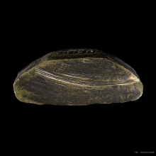 รูปเหมือนปั๊ม บรรจุกริ่ง หลวงพ่อมุ่ย วัดดอนไร่รุ่น2