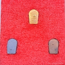 พระนาคปรกใบมะขามชุดทองคำ หลวงพ่อเกษม