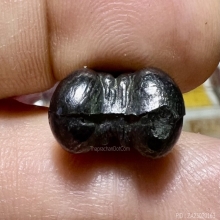 ปิดตาเมฆพัด สองหน้าท้องยันต์ พ่อเดิมพิมพ์ใหญ่ สวยสมบูรณ์