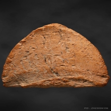 หลวงพ่อโต กรุบางกระทิง 