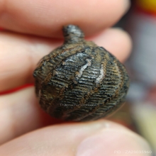 ลูกอมมหากัณฑ์ หลวงพ่อคง วัดบางกะพ้อม