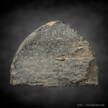 หลวงพ่อโต กรุบางกระทิง 