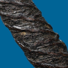 ตะกรุดหลวงปู่เอี่ยม วัดหนัง กทม.