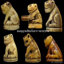 เสือหลวงพ่อปาน วัดมงคลโคธาวาส : (จารสายฟ้าครบ) ช้างเผือก