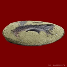 หลวงปู่บุญ พระชัย ป้อมเล็ก