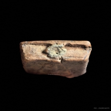 พระหลวงพ่อปาน กรุวัดดงตาล ปี 2474 (บรรจุกรุในสมัยหลวงพ่อผาด)