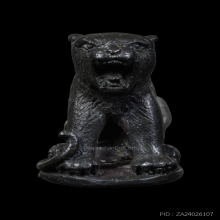 เสือหลวงพ่อมุม วัดนาสัก ปี๒๕๑๙ เนื้อนวะโลหะ สร้าง500ตัว