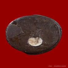 หนุมานหลวงพ่อคง วัดวังสรรพรส รุ่นแรก เนื้อนวโลหะ