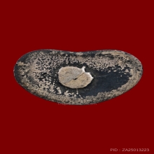  รูปหล่อพระพิฆเนศโบสถ์พราหมณ์ ปี 30 เนื้อเงิน ตอกโค๊ต