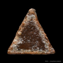 พางพญาพิษณุโลกพิมพ์อกนูนเล็กราคาประหยัดมาพร้อมใบเซอร์