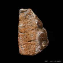 พางพญาพิษณุโลกพิมพ์อกนูนเล็กราคาประหยัดมาพร้อมใบเซอร์