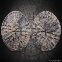 พระงบน้ำอ้อย เนื้อชิน กรุบ้านตาก จังหวัดตาก 600 ปี