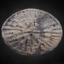 พระงบน้ำอ้อย เนื้อชิน กรุบ้านตาก จังหวัดตาก 600 ปี