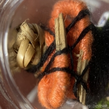 หุ่นพยนต์ แท้ไม่ทราบสำนัก