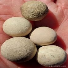 รวมลูกอม ชุดที่ 2