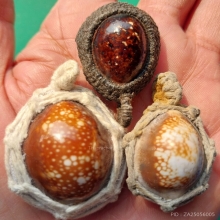 รวมเบี้ยแก้ ชุดที่ 1