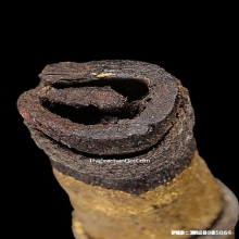 ตะกรุดหนังหน้าผากเสือ หลวงปู่นาค วัดอรุณ กรุงเทพฯ