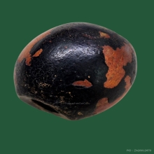 กระดอนสะท้อน หลวงพ่อรุ่ง วัดท่ากระบือ