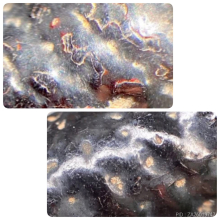 ตระกรุดหลวงปู่กลิ่น วัดสะพานสูง ตรีนิสิงเห