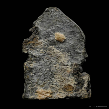 พระนาคปรก พิมพ์เล็กฐานสูง กรุวัดพระศรีฯ จ.ลพบุรี