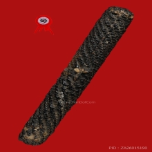 ตะกรุดหนังเสือหลวงพ่อเต๋วัดสามง่าม ยุคต้น แชมป์ๆ