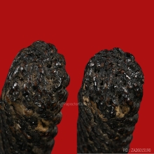 ตะกรุดหนังเสือหลวงพ่อเต๋วัดสามง่าม ยุคต้น แชมป์ๆ