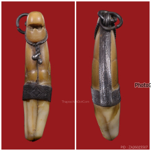 เสือหลวงพ่อสาย วัดบางเหี้ย