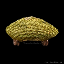 เบี้ยแก้ หลวงปู่เจือ วัดกลางบางแก้ว