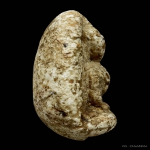 พระวัดพลับพิมพ์พุงป่องใหญ่