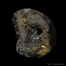 +บัตรสมาคม หลวงปู่ทวด วัดประสาท เนื้อดำ ปิดทองเดิม