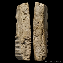 +บัตรสมาคม สมเด็จเส้นด้ายใหญ่ หลวงปู่ลำภู ลงกรุตุ่มน้ำมนต์