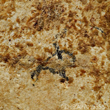 สมเด็จวัดเฉลิมพระเกียรติ์ พิมพ์5ชั้นยันต์วาหลังจาร(#4)