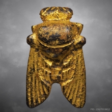 แมลงภู่คำ