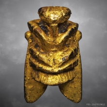 แมลงภู่คำ