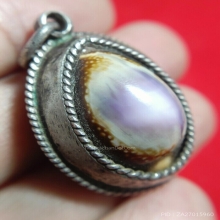 เบี้ยหลวงพ่อคำ วัดโพธิ์ปล้ำ ( เบี้ยเพชรกลับ )