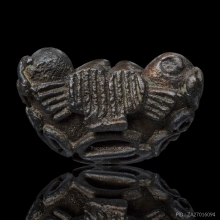 พระปิดตาพุทธคง หลวงพ่อสงฆ์ วัดเจ้าฟ้าศาลาลอย