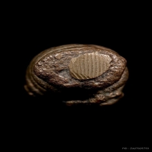 พระปิดตาพังพะกาฬ อ.จ็ก วัดเขาแดงตะวันตก พัทลุง