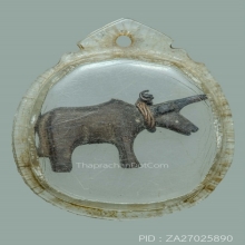 วัวธนูเขาแกะหลวงพ่อน้อย วัดศีรษะทอง เนื้อเขากระทิงแกะ