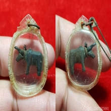 วัวธนูเขาแกะหลวงพ่อน้อย วัดศีรษะทอง เนื้อเขากระทิงแกะ