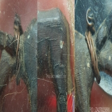 วัวธนูเขาแกะหลวงพ่อน้อย วัดศีรษะทอง เนื้อเขากระทิงแกะ