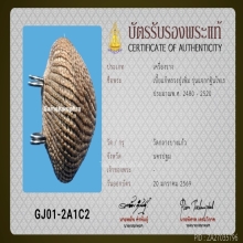 เบี้ยแก้หลวงปู่เพิ่ม วัดกลางบางแก้ว ปี 16