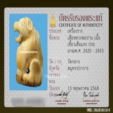 เขี้ยวเสือหลวงพ่อปาน วัดบางเหี้ย ศิลป์วัดกลาง ยุคต้น