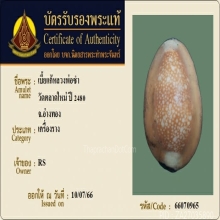 เบี้ยแก้หลวงพ่อซำ วัดตลาดใหม่